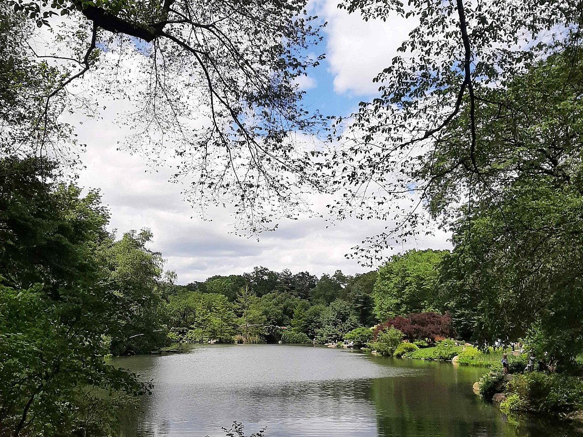 Central Park New York City 