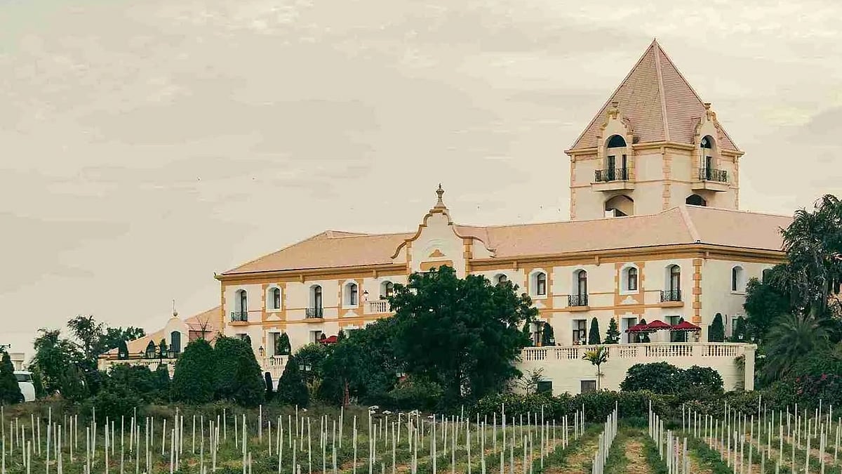 Official Website/hotelirada.com : Hotel Irada’s winery tour takes guests through the vineyards and cellar, followed by a guided tasting of the estate’s wines