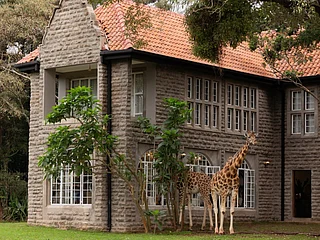 Instagram/@thesafaricollection : Giraffe Manor, Nairobi