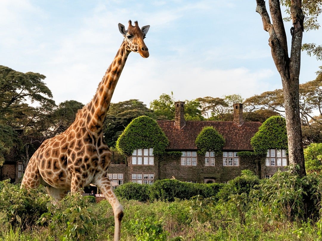 Giraffe Manor, Nairobi