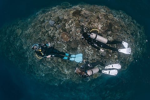 The underwater world is no longer just for experienced divers