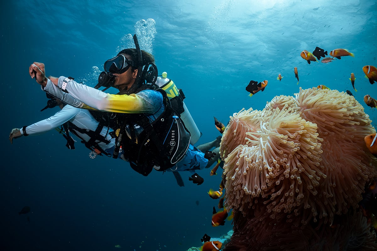 Supplied : India’s coastline offers different underwater experiences