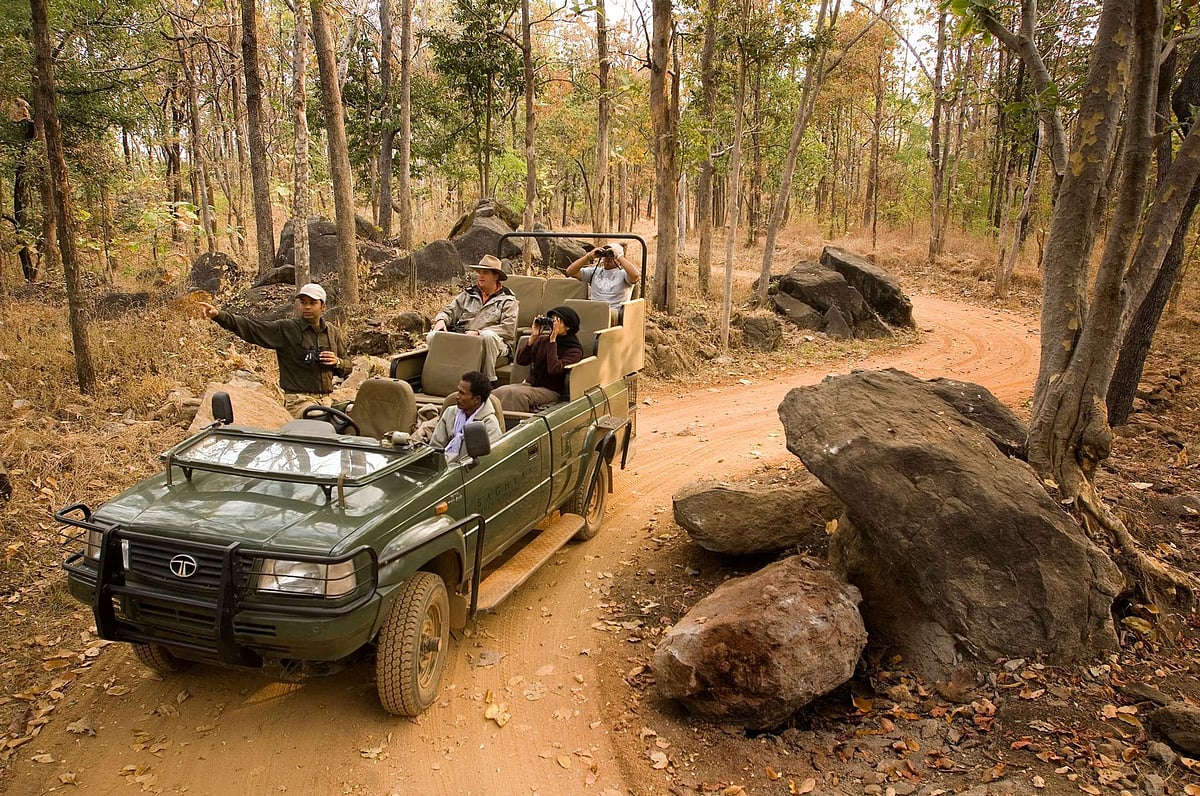 A jeep safari in Pench National Park