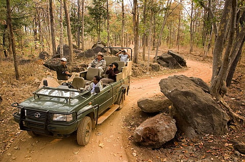 A jeep safari in Pench National Park