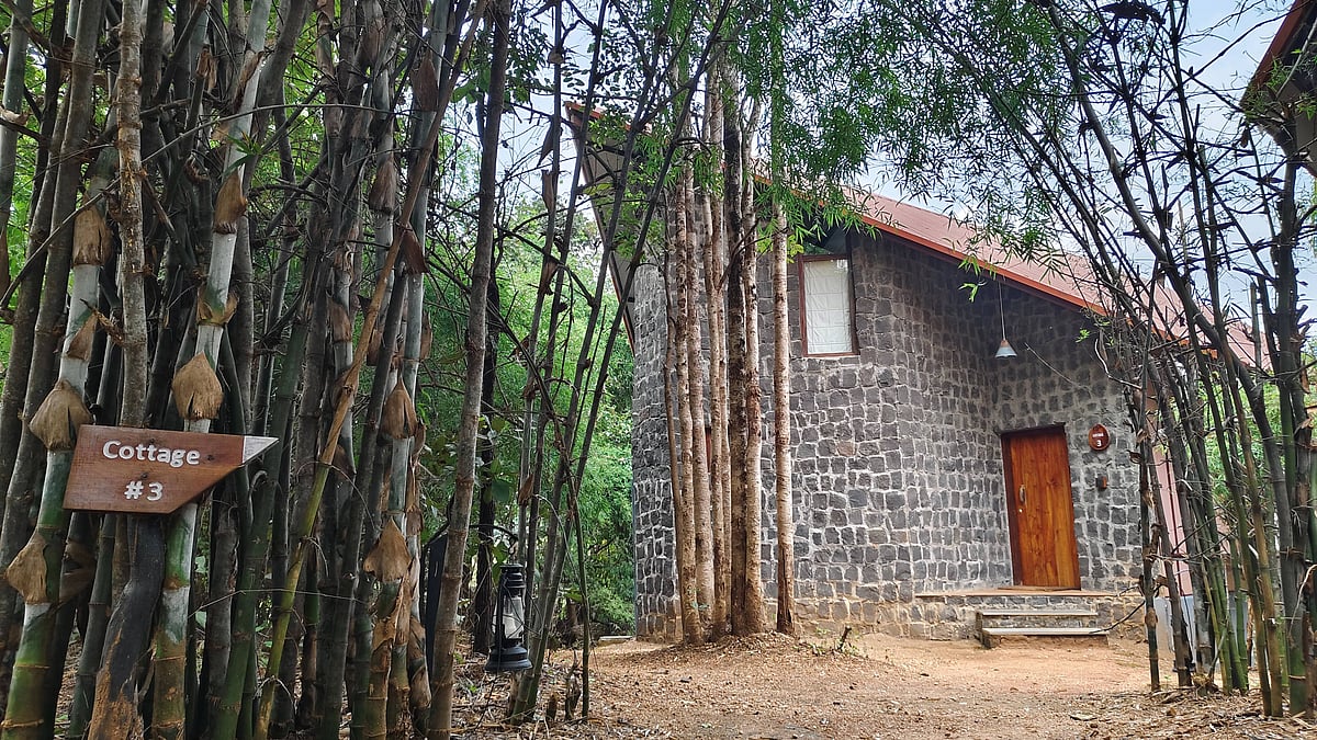 A cottage at Pench Tree Lodge