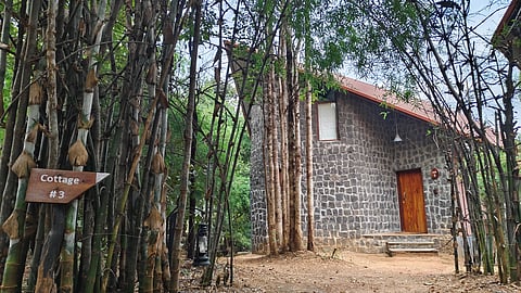 A cottage at Pench Tree Lodge