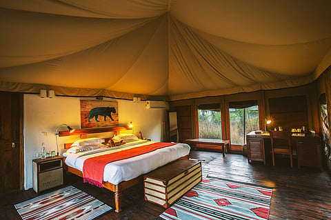 A room at Jamtara Wilderness Camp