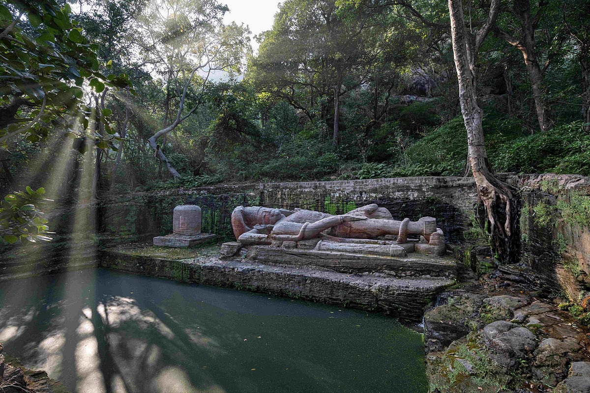 Shesh Shaiya, Bandhavgarh Tiger Reserve