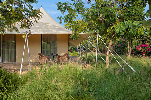 A luxury tent view from the Private Garden at The Oberoi Vindhyavilas Wildlife Resort, Bandhavgarh