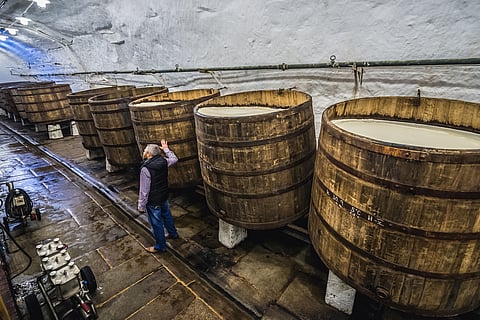 Pilsner Urquell brewery cellars in Pilsen
