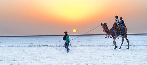 Explore the White Desert Festival
