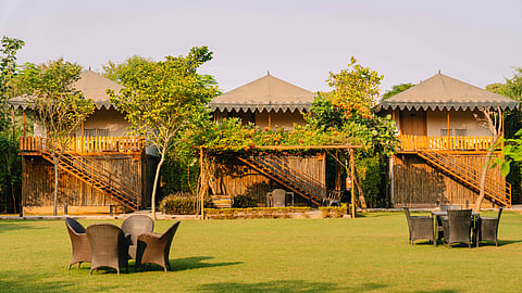 The resort is surrounded by greenery