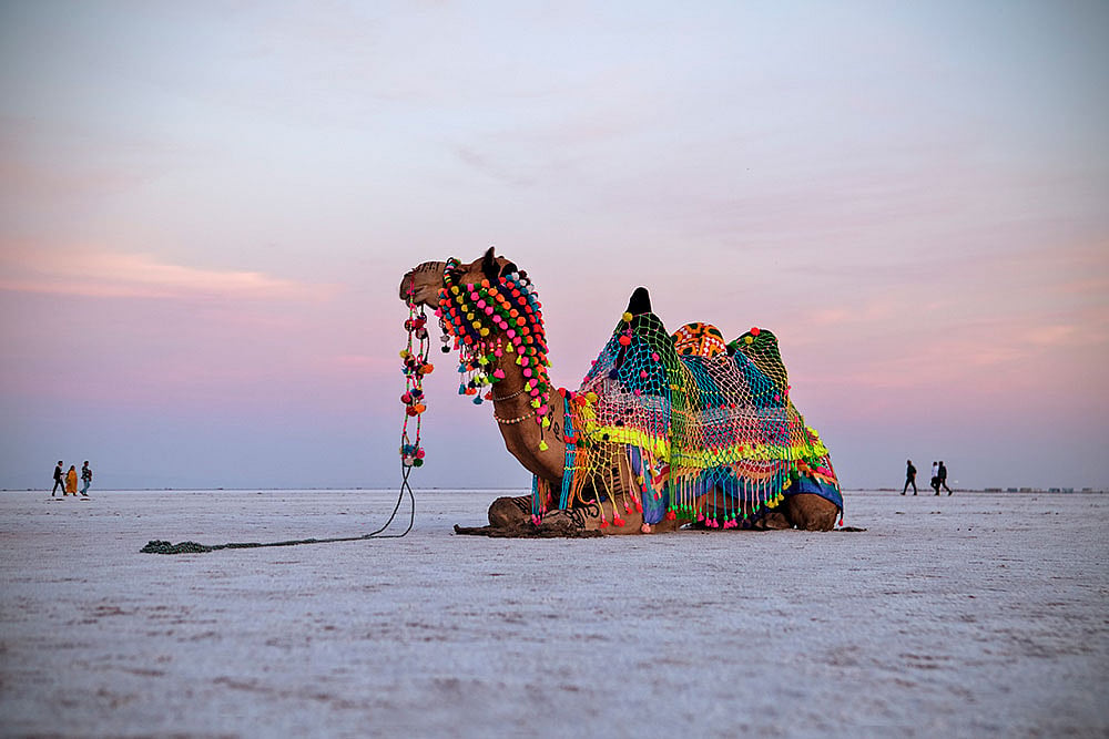 Rann Utsav : The 2026–27 edition of Rann Utsav begins on November 1