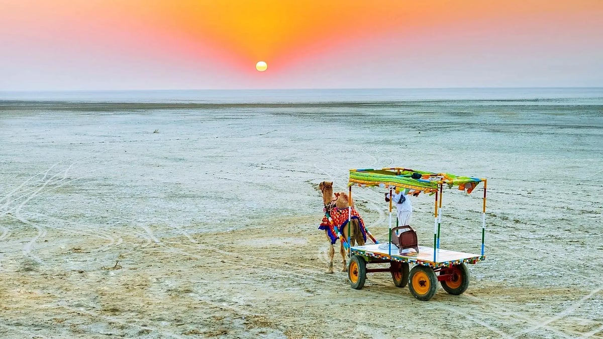 The White Rann particularly striking around sunrise and sunset