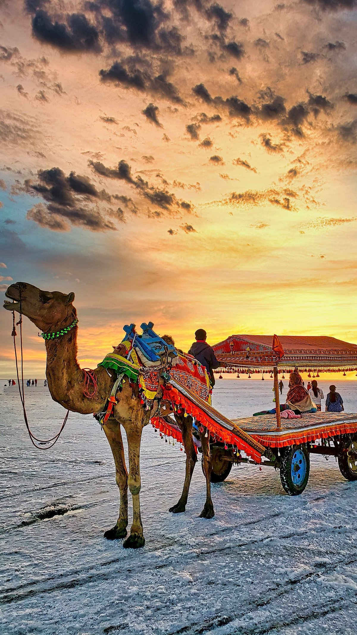 Shutterstock : Great Rann of Kutch