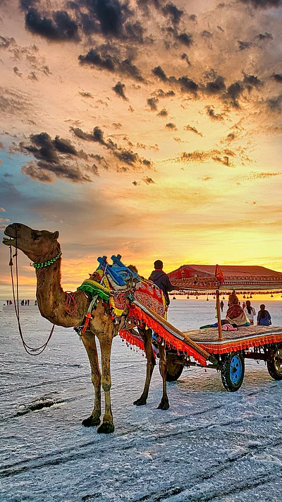 Shutterstock : Great Rann of Kutch