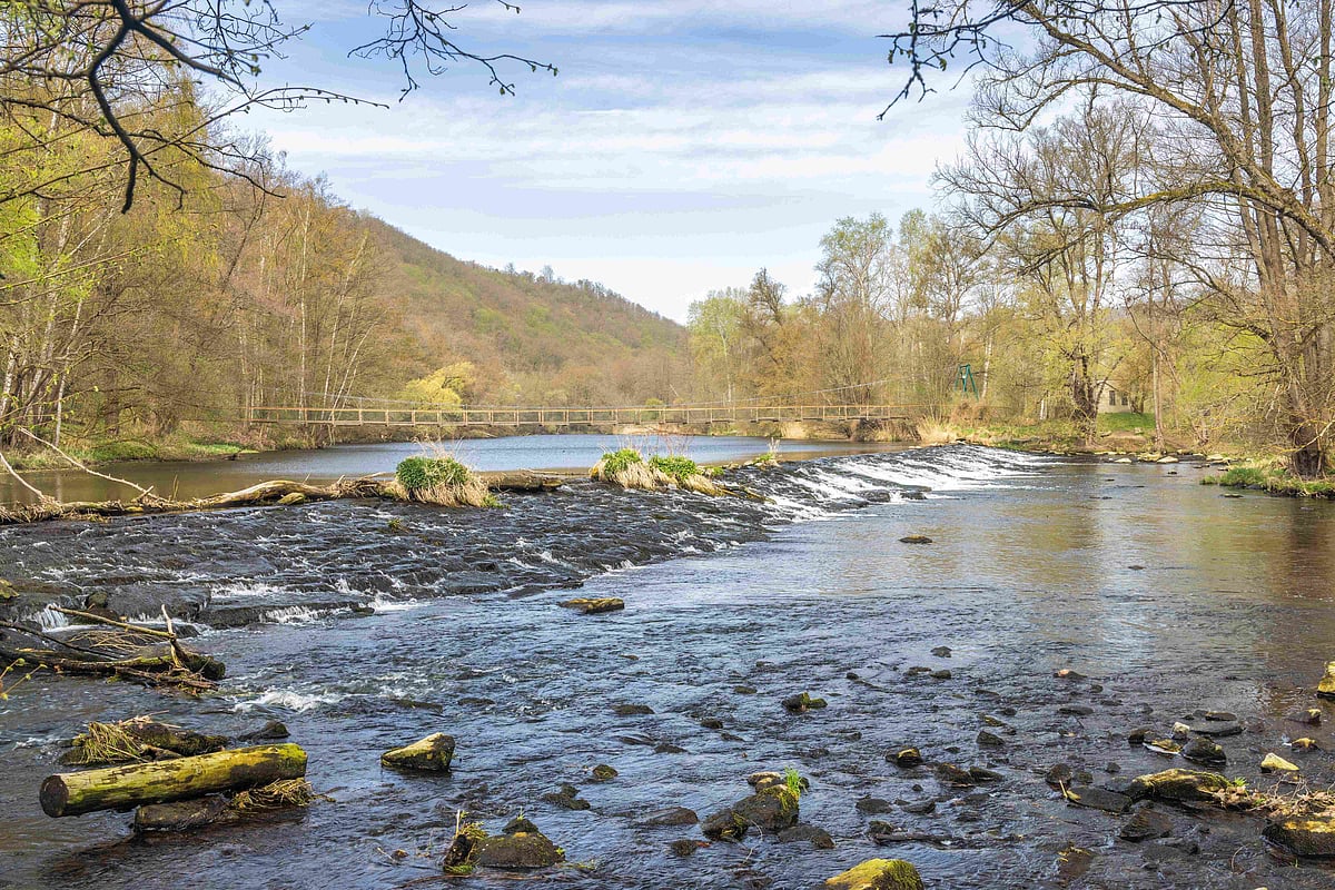 Dyje river in Podyjí National park