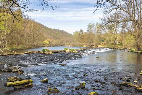 Dyje river in Podyjí National park