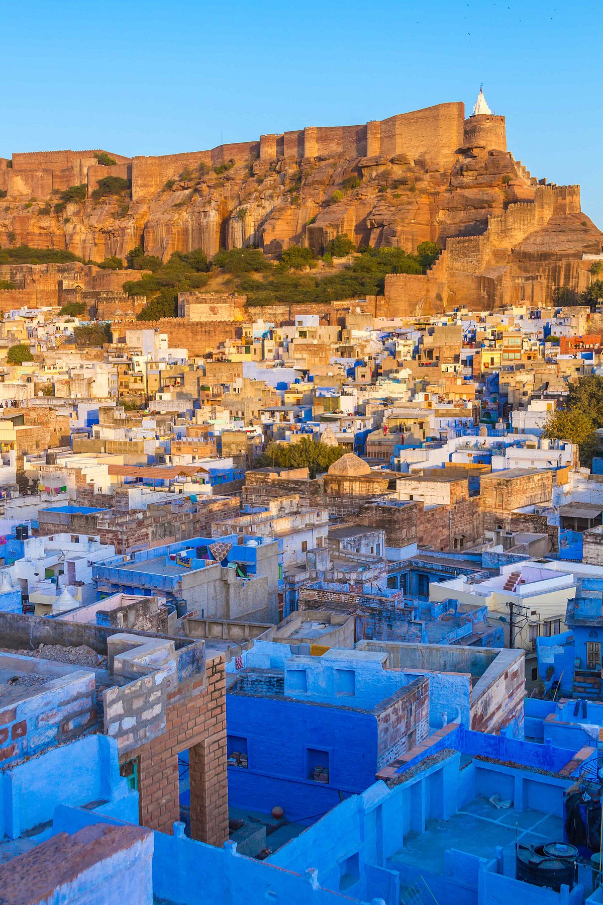 Shutterstock : The blue city of Jodhpur