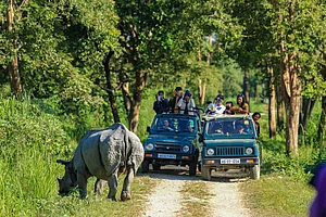 Shutterstock : Hordes of tourists enjoying jungle safari at Kaziranga National Park