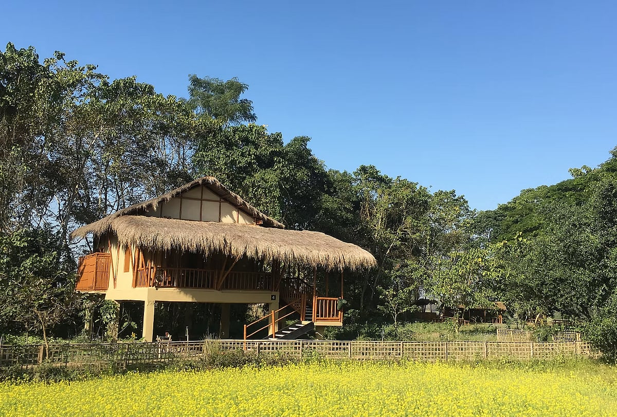 Diphlu River Lodge