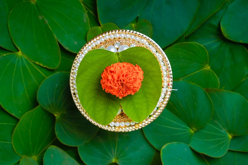 Apta leaves symbolise gold, prosperity and good fortune