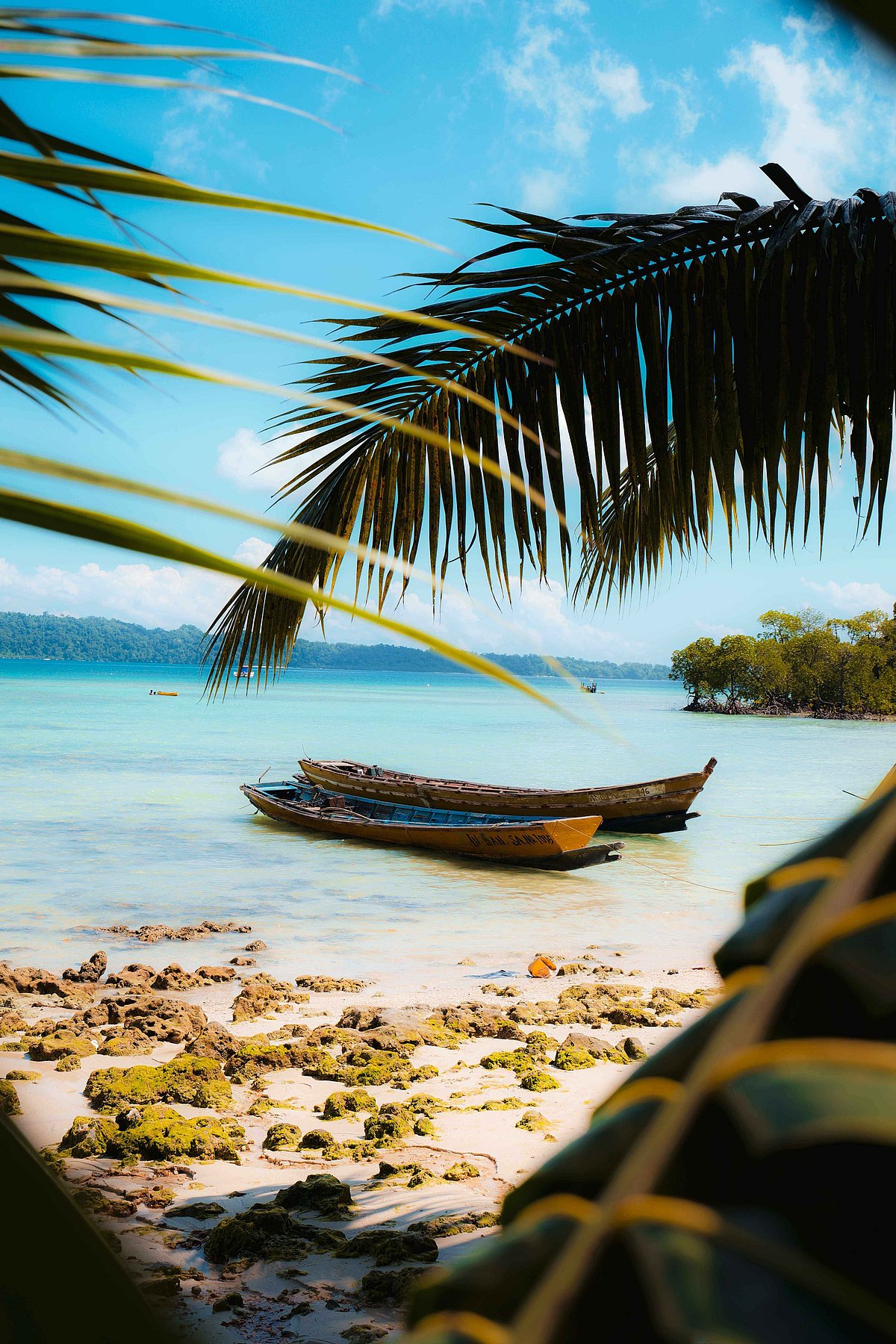 Shutterstock : Andaman and Nicobar Islands
