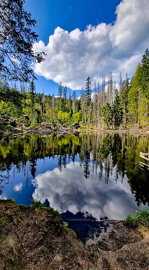 Shutterstock : Boubín Lake