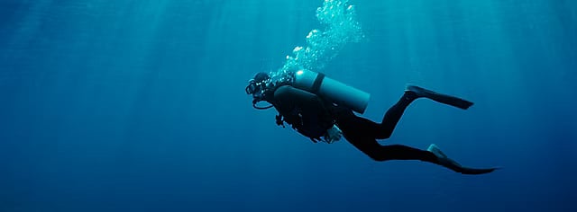 Octopus Garden has diving and snorkelling courses