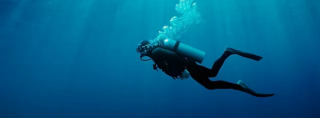 Octopus Garden has diving and snorkelling courses