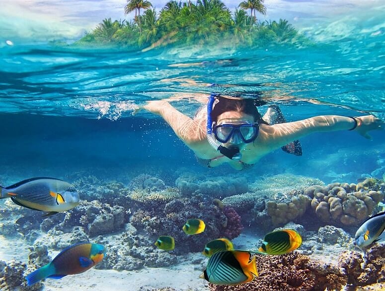 Dive Andaman : From Havelock Island to Neil Island, The Andamans give access to popular marine sites