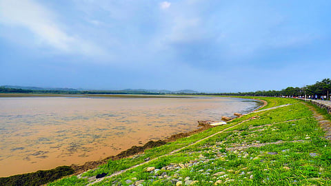Sukhna Lake was created in 1958 by damming Sukhna Choe