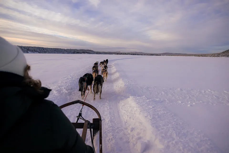 Dog sledding is one of the classic Arctic adventures around ICEHOTEL in Swedish Lapland