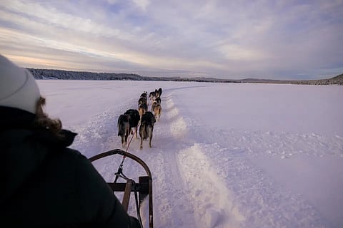 Dog sledding is one of the classic Arctic adventures around ICEHOTEL in Swedish Lapland