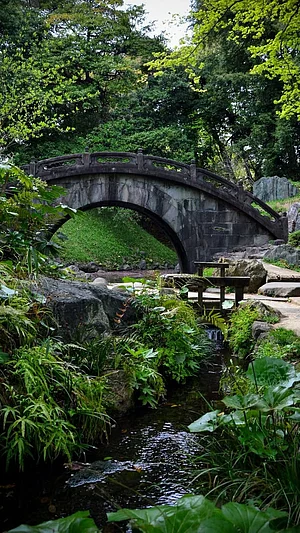 dmytro_avramenko/instagram : Koishikawa Botanical Garden