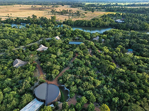Early safari drives start conveniently from Villu’s location beside the park