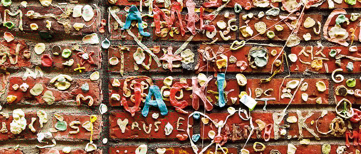 USA Toddlin in Seattle