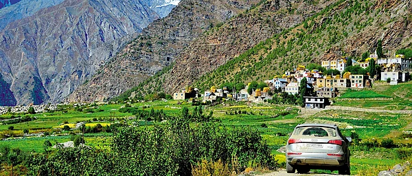 Himachal Pradesh The Old Shepherd Road