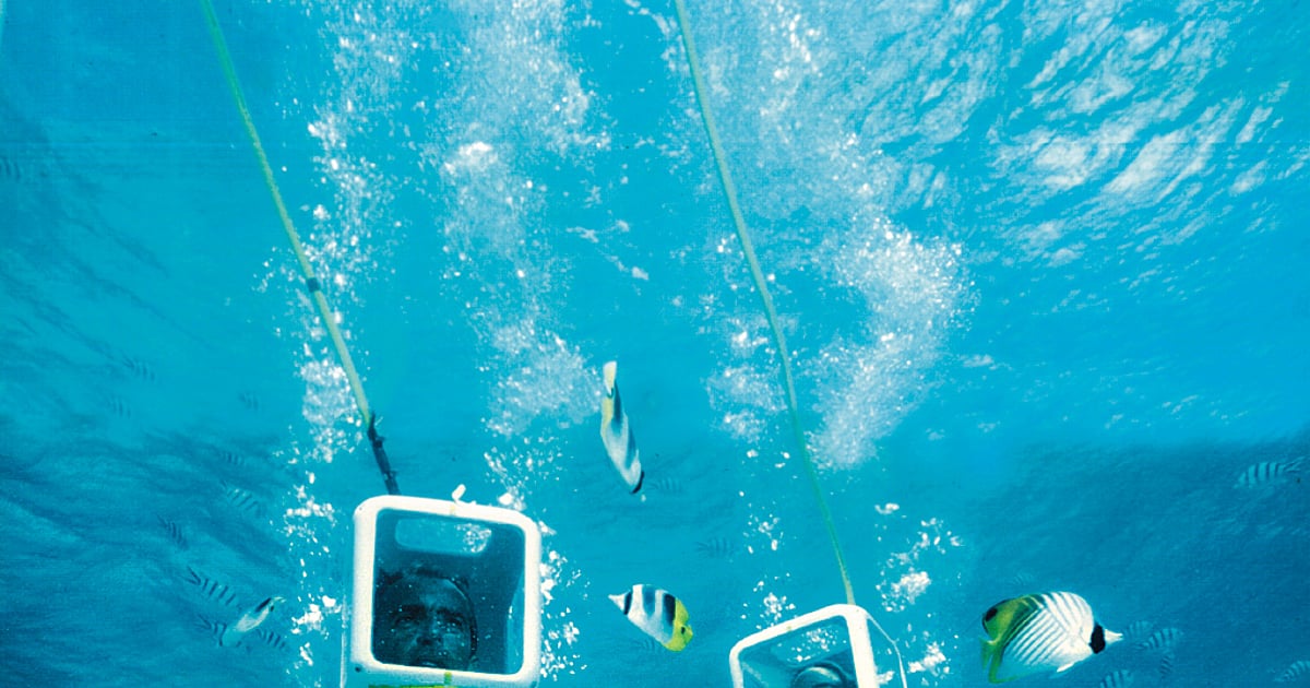 All You Need To Know About Sea Walking In The Andaman Islands