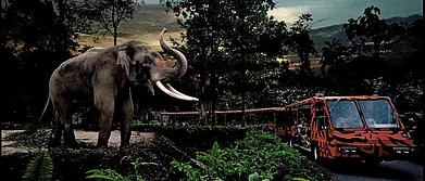 Singapore Wildlife Packages For Indians