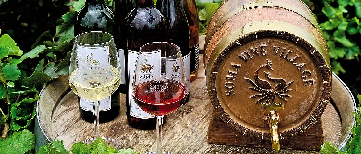 Maharashtra The Gift of The Grape