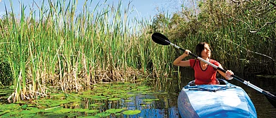 USA Adrenaline Rush in Florida