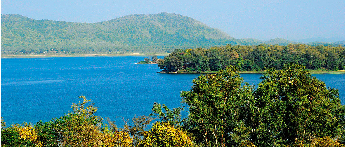 Maharashtra The Best Wildlife Experiences