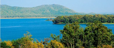 Maharashtra The Best Wildlife Experiences