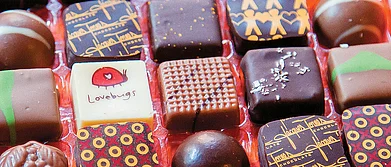 USA Chocolicious Tours