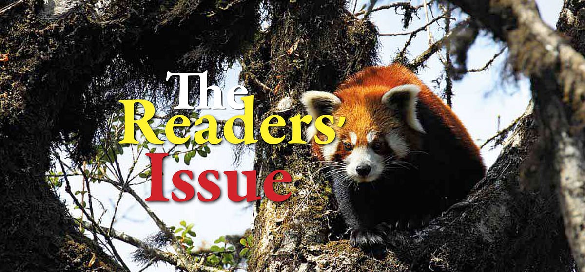 Write For Outlook Traveller