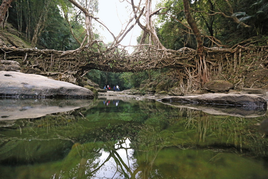 Umshiang Home of The Living Root Bridges