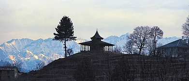 Do not miss Thanedar if you love apples