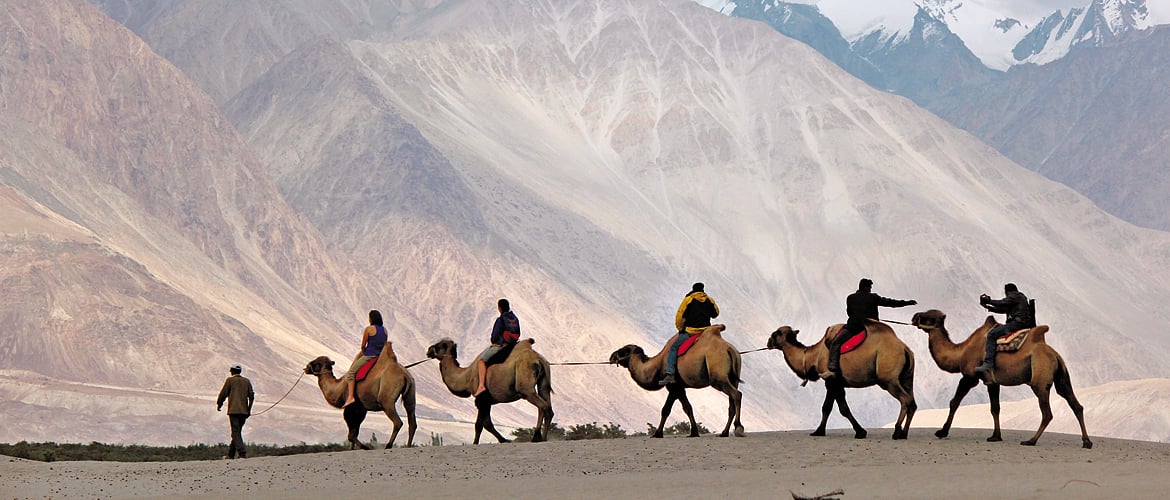 Madhya Pradesh Culinary Traditions