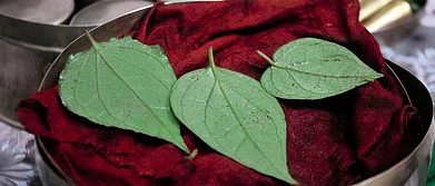 A Very Short History of the Banarasi Paan